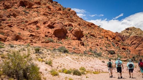 Red Rock Canyon Hiking Tour that Leaves from Las Vegas