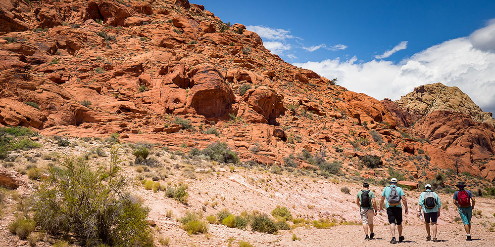 Red Rock Canyon Hiking Tour that Leaves from Las Vegas