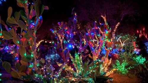 Where to See the Best Christmas Lights in Las Vegas