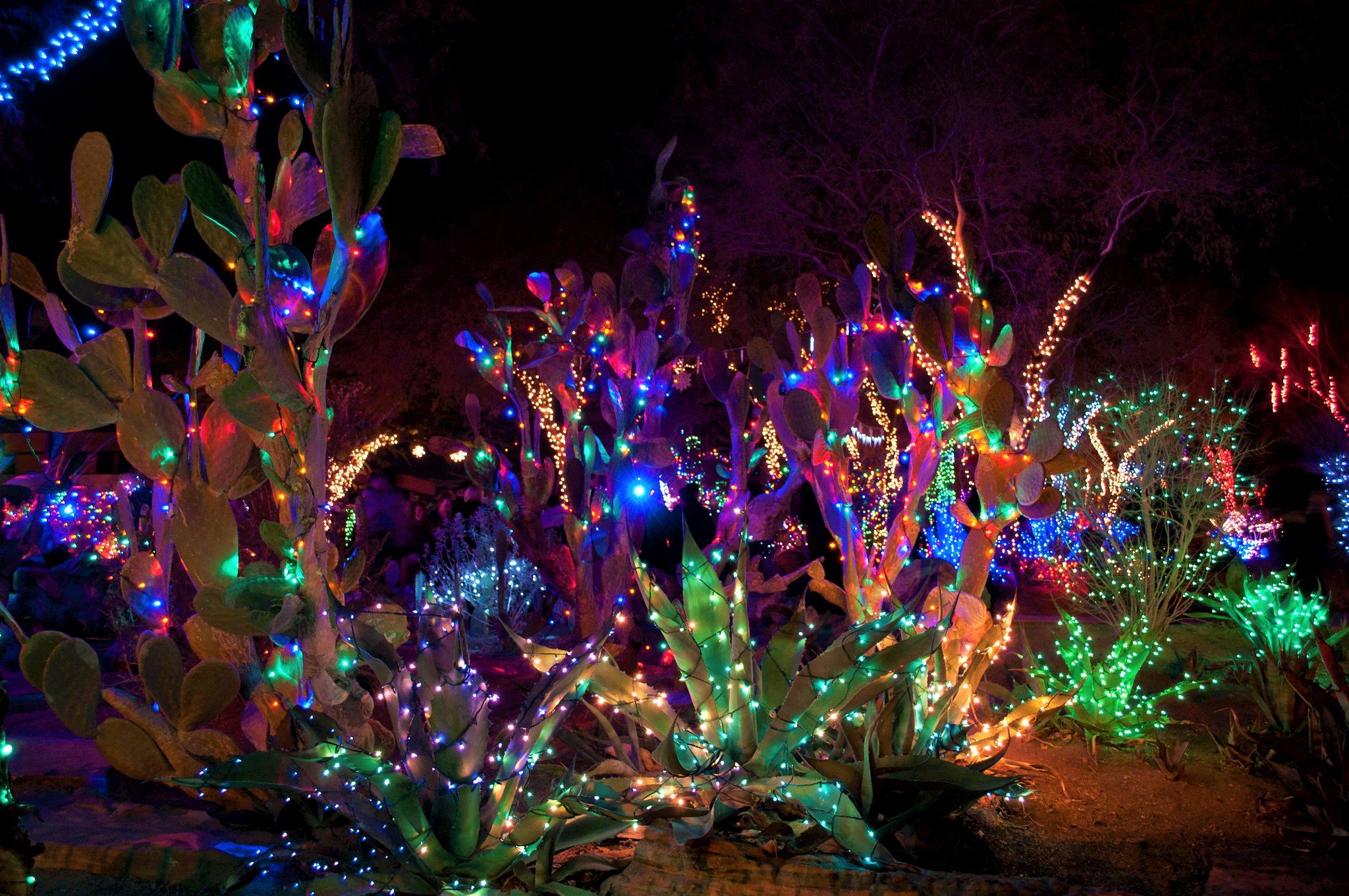9 Best Places to See Christmas Lights in Las Vegas