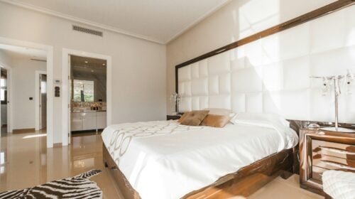 What the Mirage Hotel Attractions Are Like in February