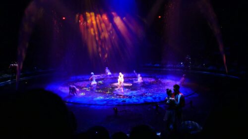 Common Las Vegas Variety Show Mistakes First-Timers Make Common Las Vegas Variety Show Mistakes First-Timers Make