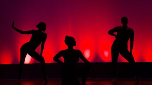 Understanding Las Vegas Erotic Shows Beyond the Stereotypes Understanding Las Vegas Erotic Shows Beyond the Stereotypes