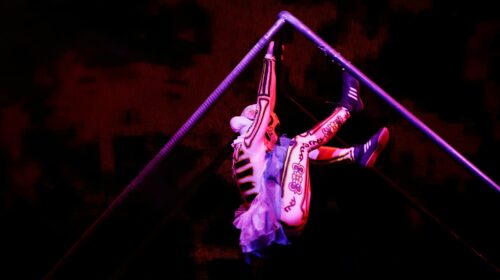 Booking Las Vegas Variety Shows Around Other Strip Plans Booking Las Vegas Variety Shows Around Other Strip Plans