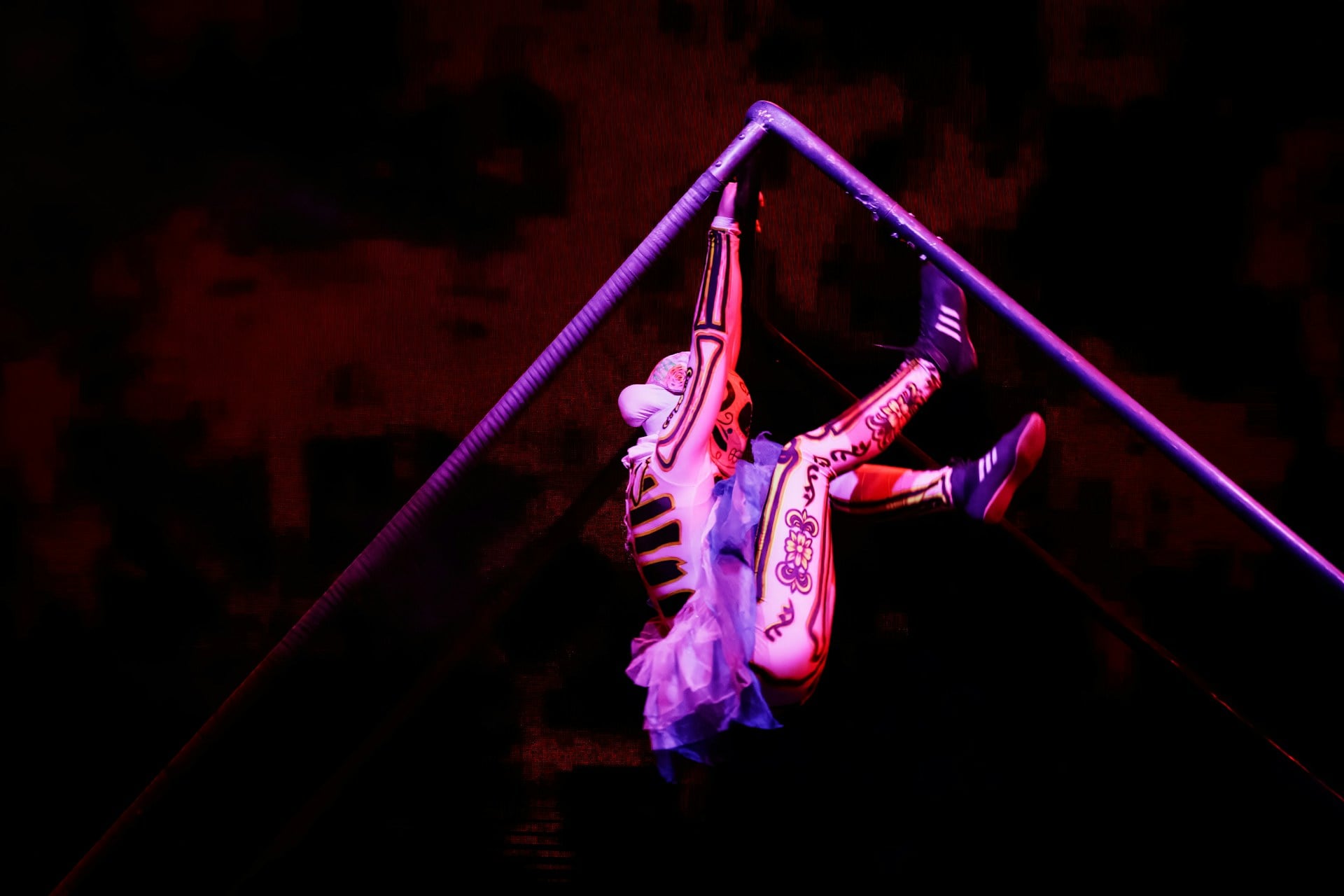 circus show