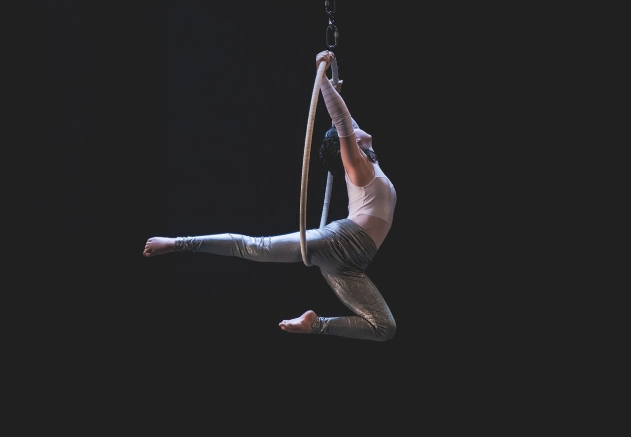 Cirque Vegas Shows